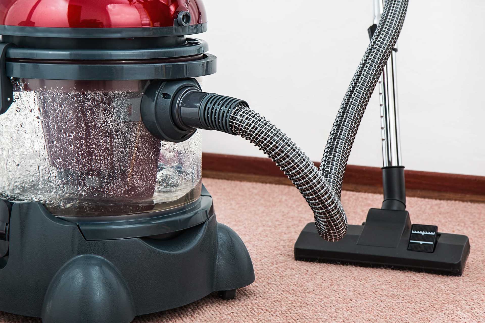 Hoover and Carpet